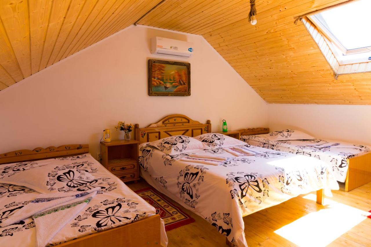 Casa De Vacanta Marya Baia de Fier Extérieur photo
