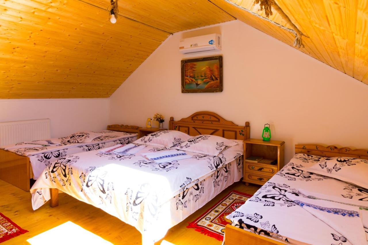 Casa De Vacanta Marya Baia de Fier Extérieur photo